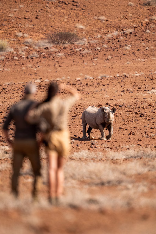 Rhino Trekking mit Save the Rhino Trust