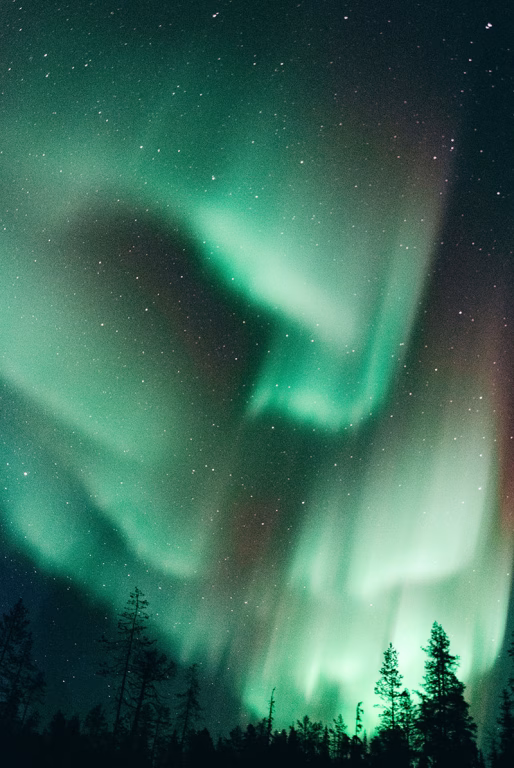 Aurora Camp am Lagerfeuer
