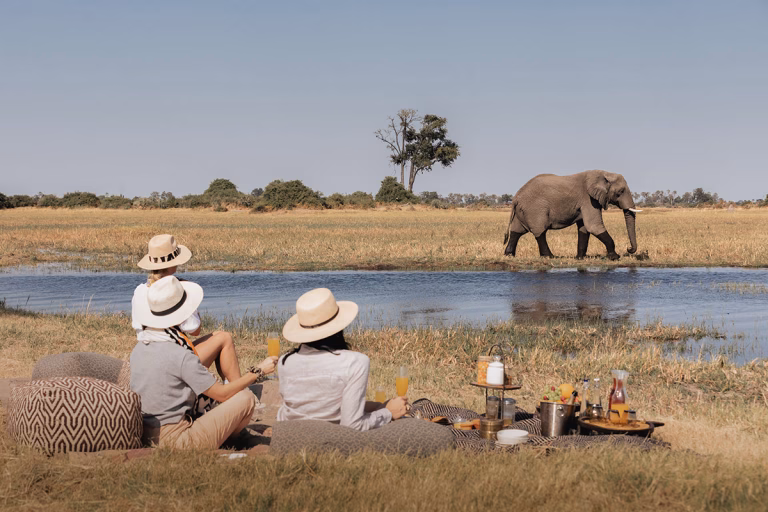 Bush Picknick in der Wildnis