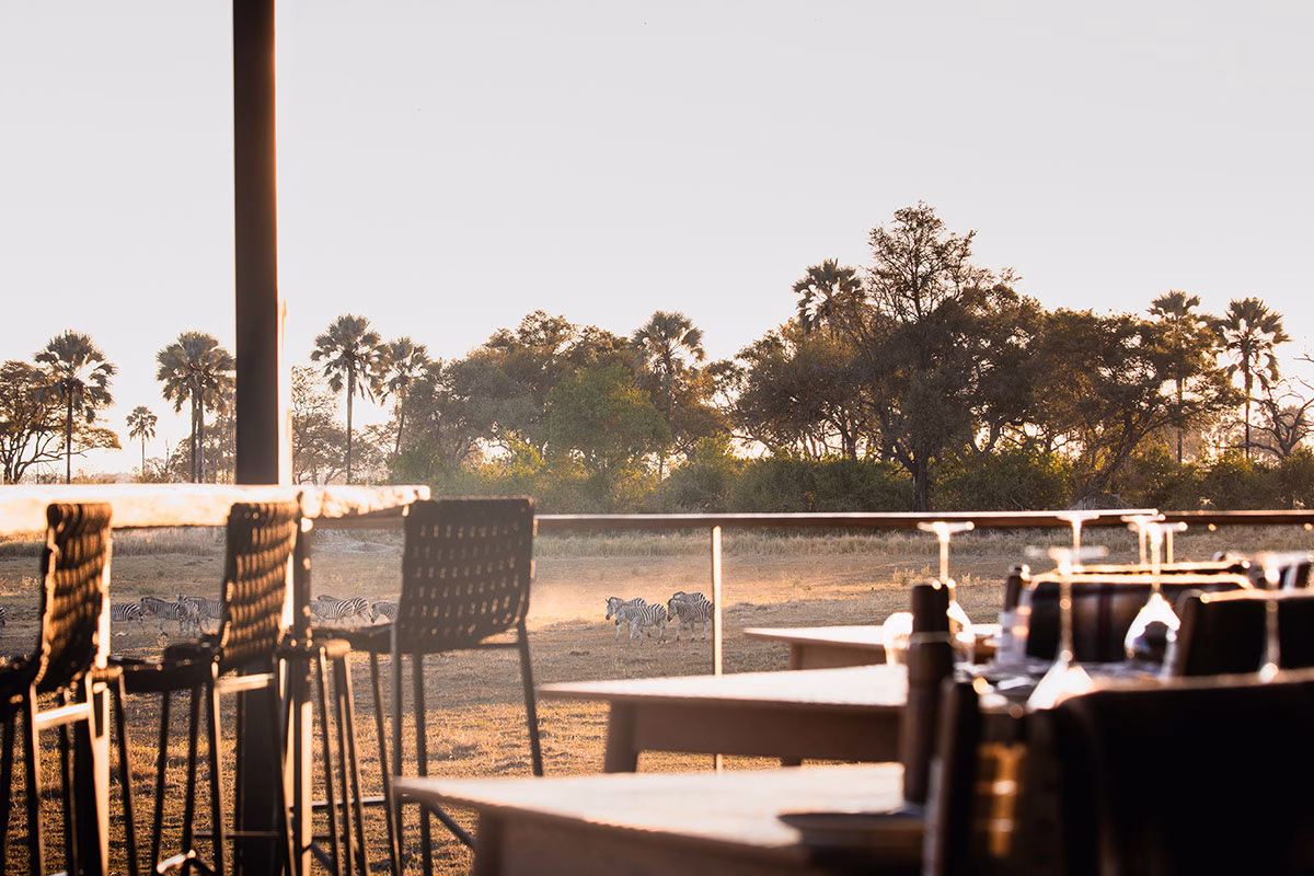Bar des Wilderness Qorokwe