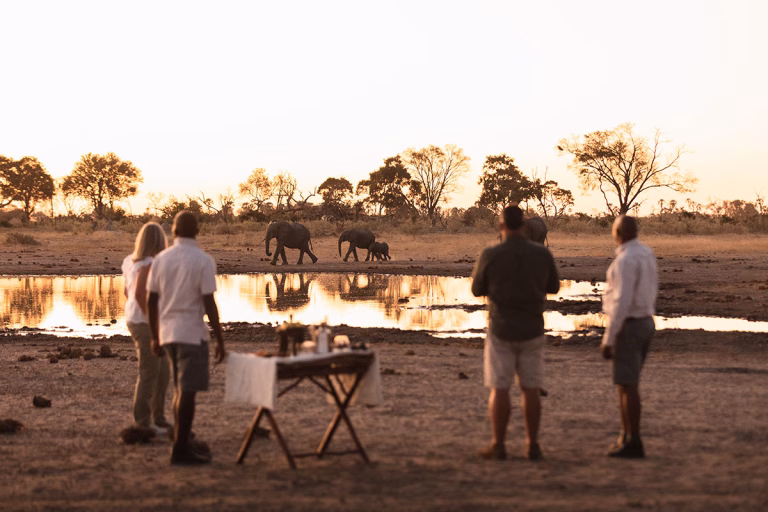 Sundowner in der Wildnis