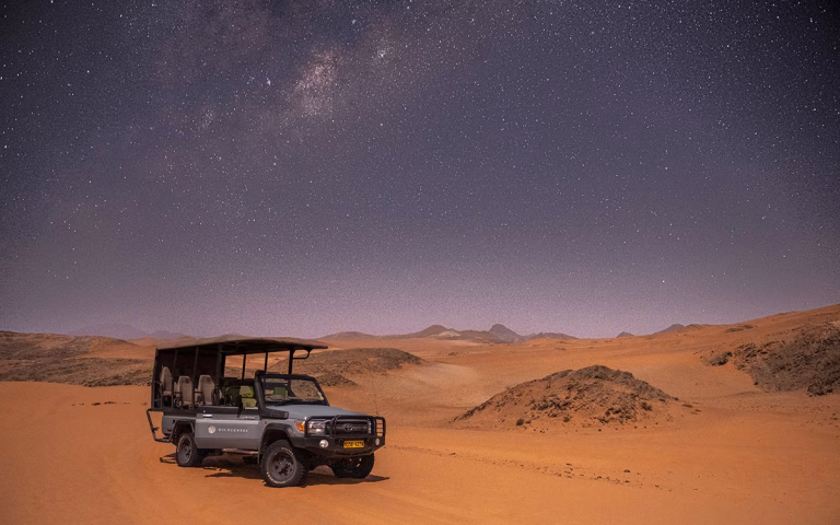 Nature Drive bei Nacht