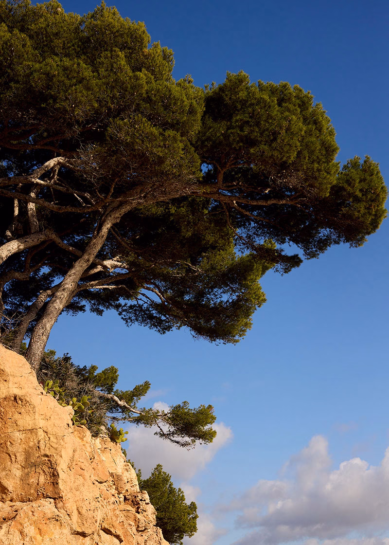 Landschaft des Zannier Île de Bendor