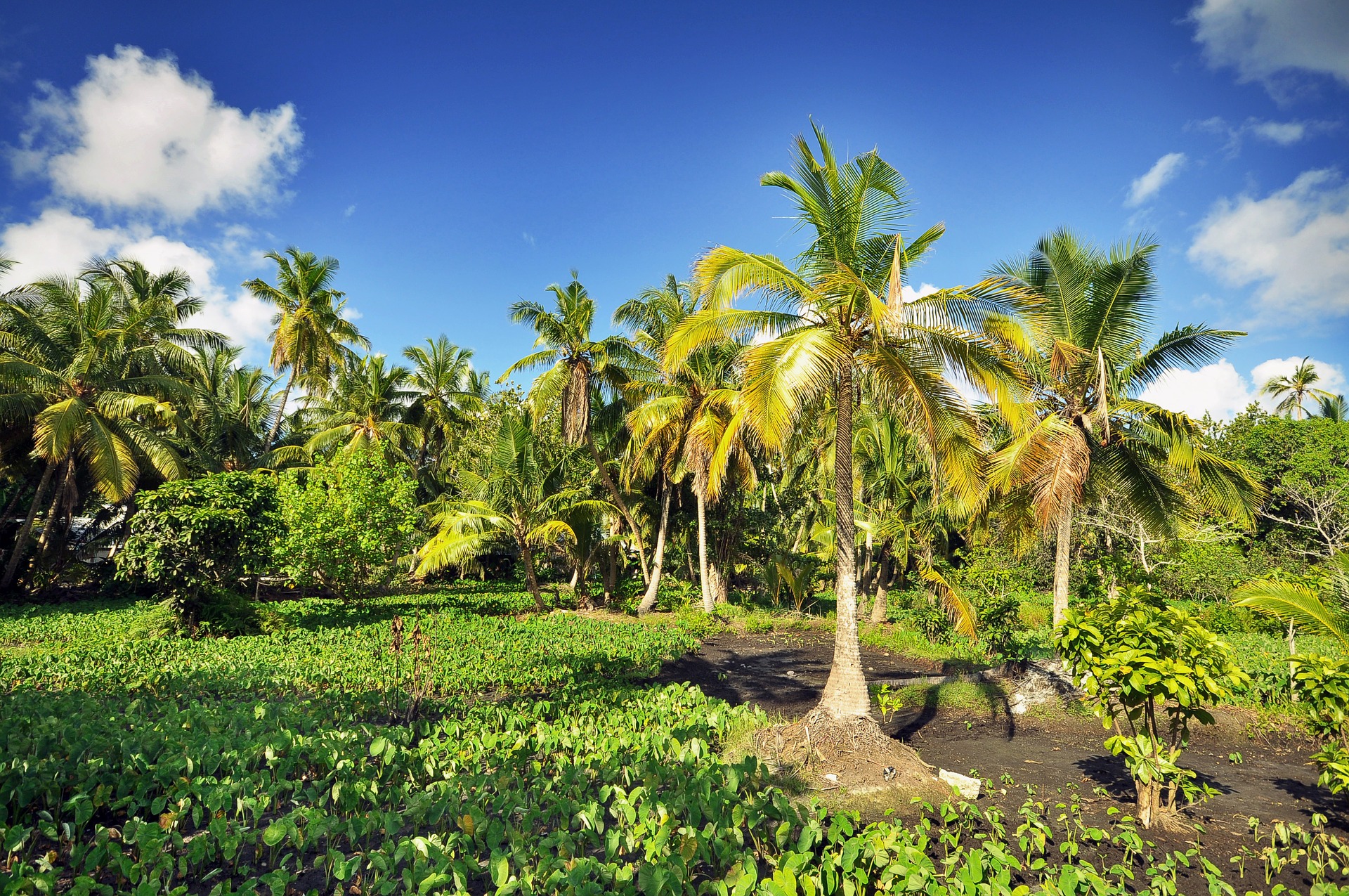 Malediven – beste Reisezeit
