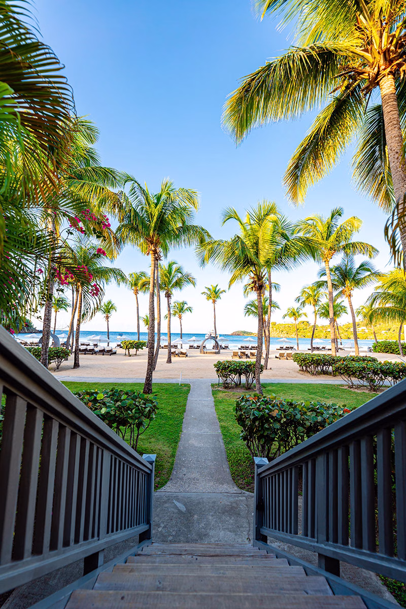 Weg zum Strand des Carlisle Bay
