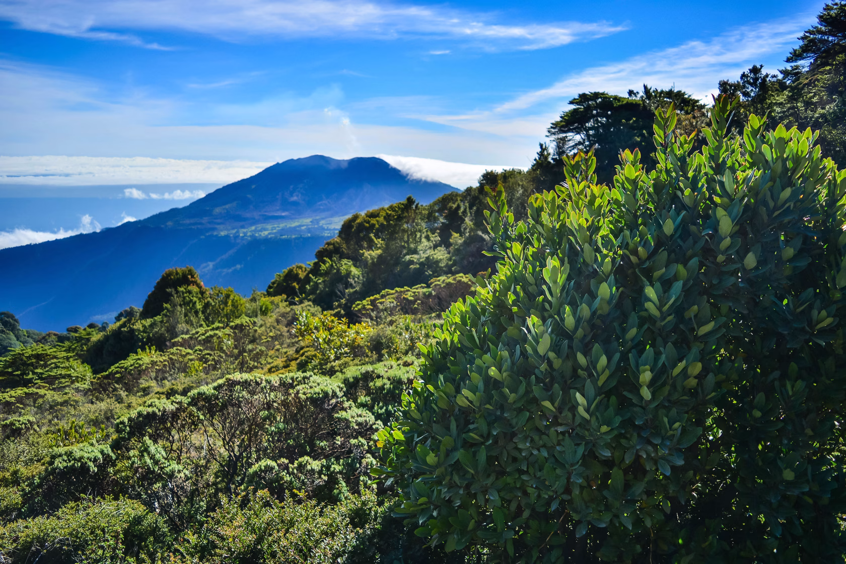 Natur in Costa Rica