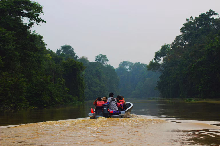 Boot auf dem Kinabatangan River