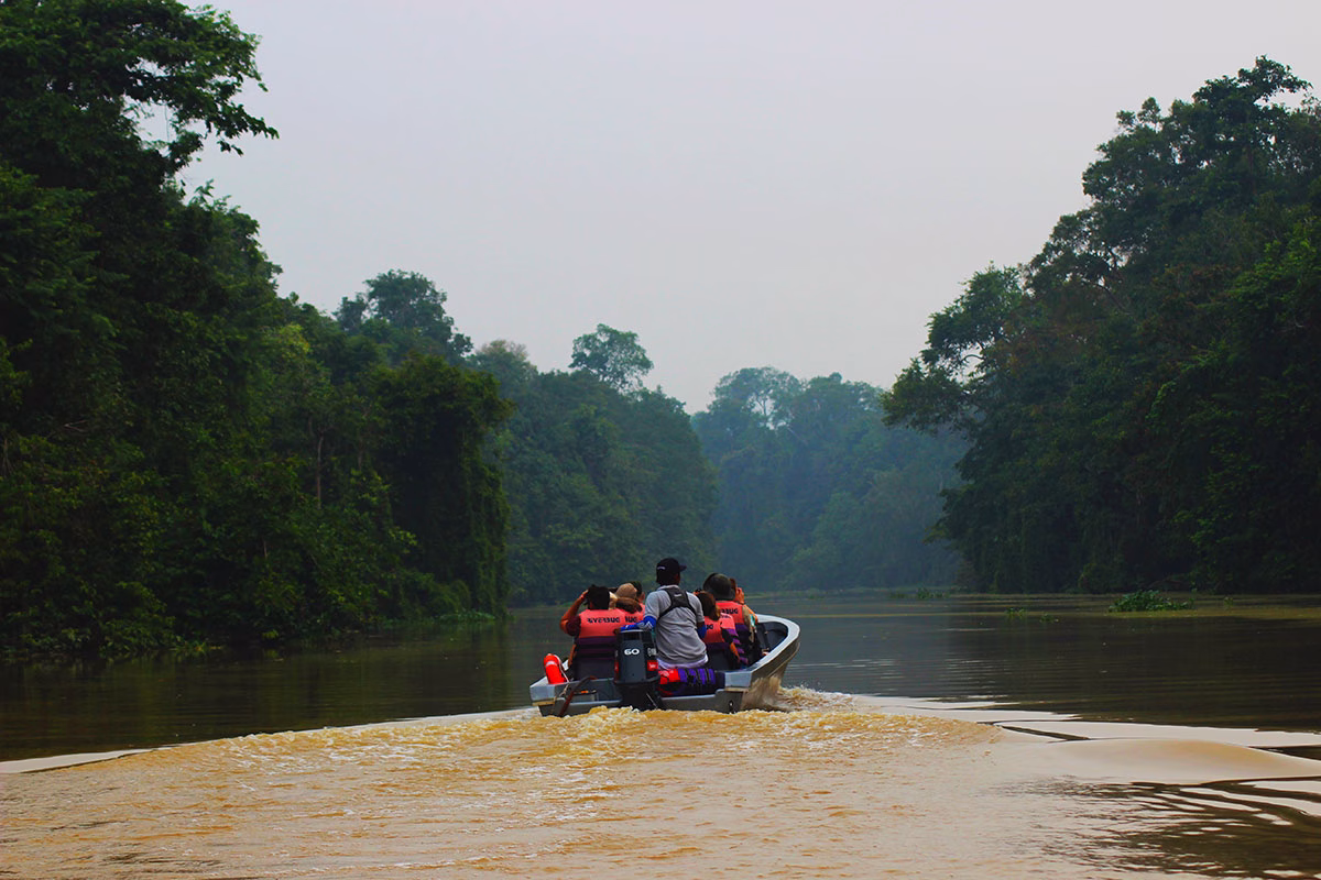 Kinabatangan River