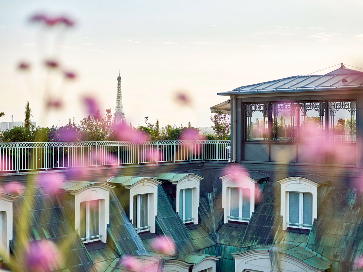 Blick über die historischen Mansardenfenster und das Zinkdach des Le Meurice, eingerahmt von unscharfen lila Blüten im Vordergrund, mit der Silhouette des Eiffelturms am hellen Pariser Himmel