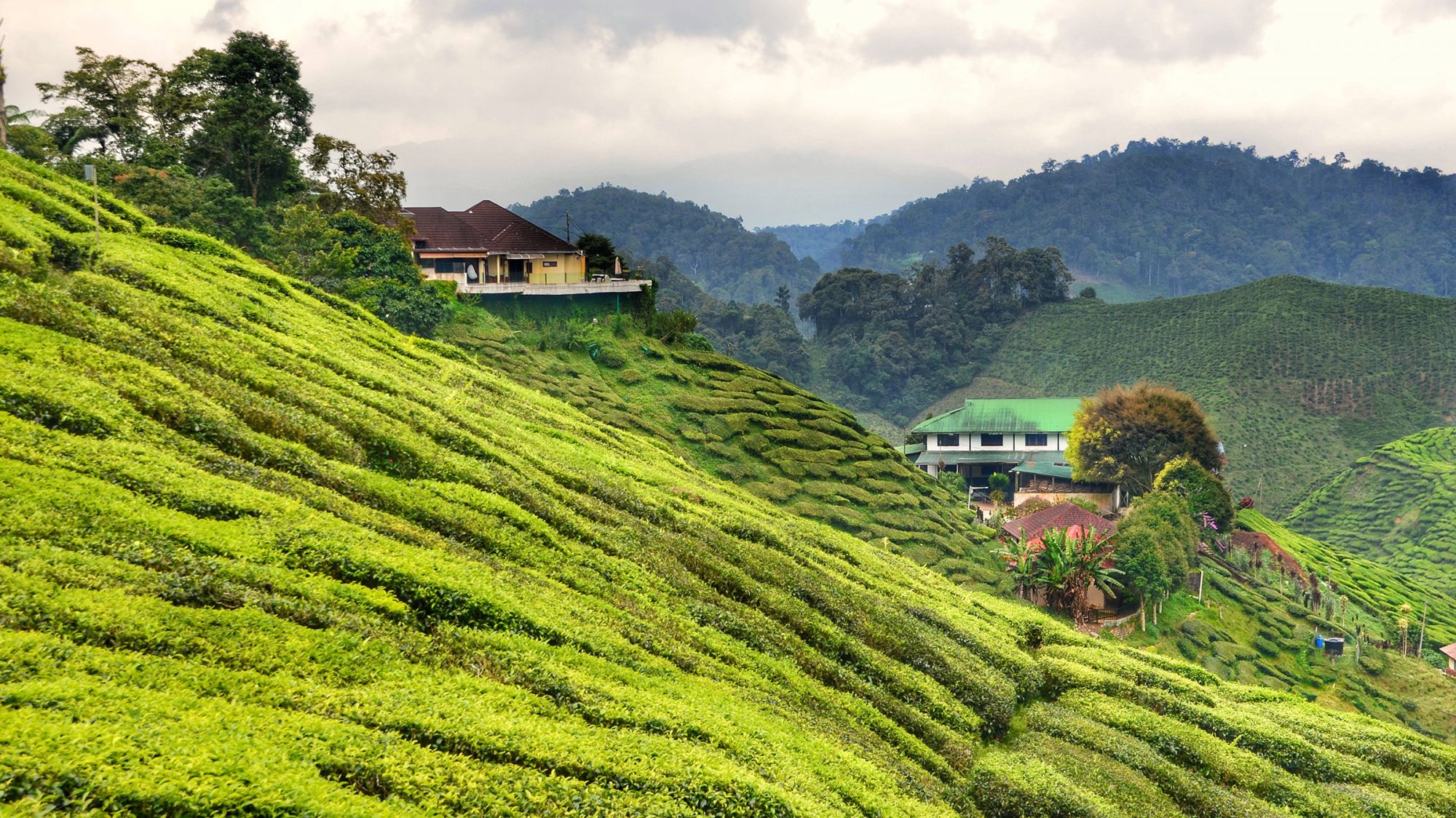 Beste Reisezeit Malaysia
