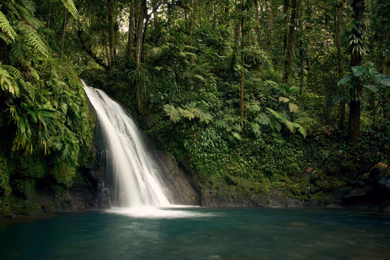 Wasserfall im Regenwald