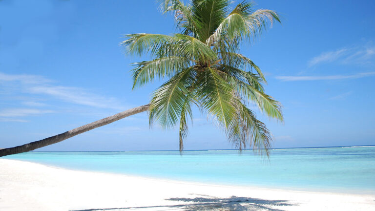 Six Senses Kanuhura, Malediven – Strand mit Palme