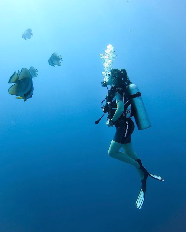 Tauchen auf den Malediven im You & Me Maldives