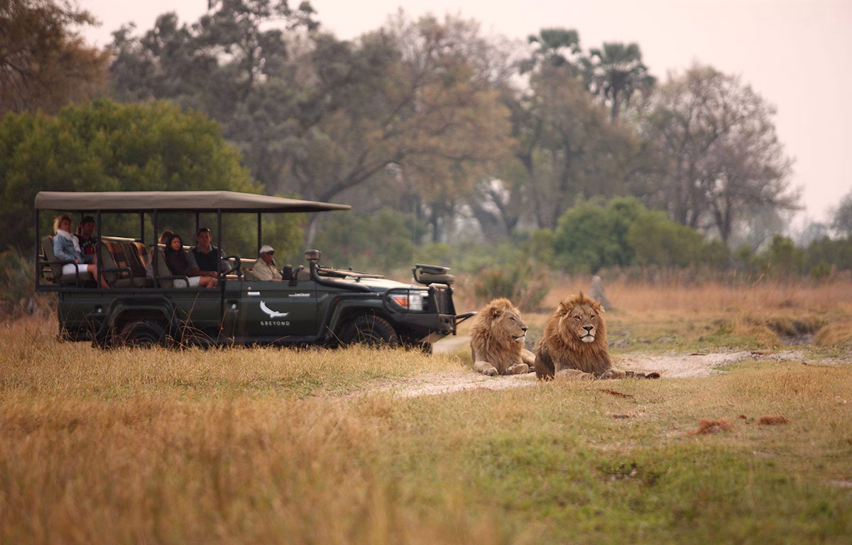 Jeep Safari im andBeyond Sandibe Under Canvas