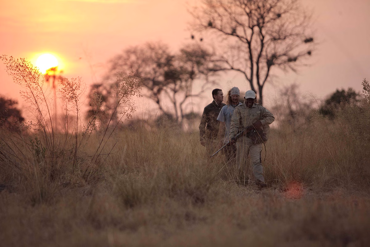 Walking Safari bei Sonnenuntergang im andBeyond Sandibe Under Canvas