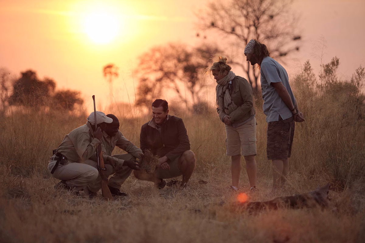 Walking Safari bei Sonnenuntergang im andBeyond Sandibe Under Canvas